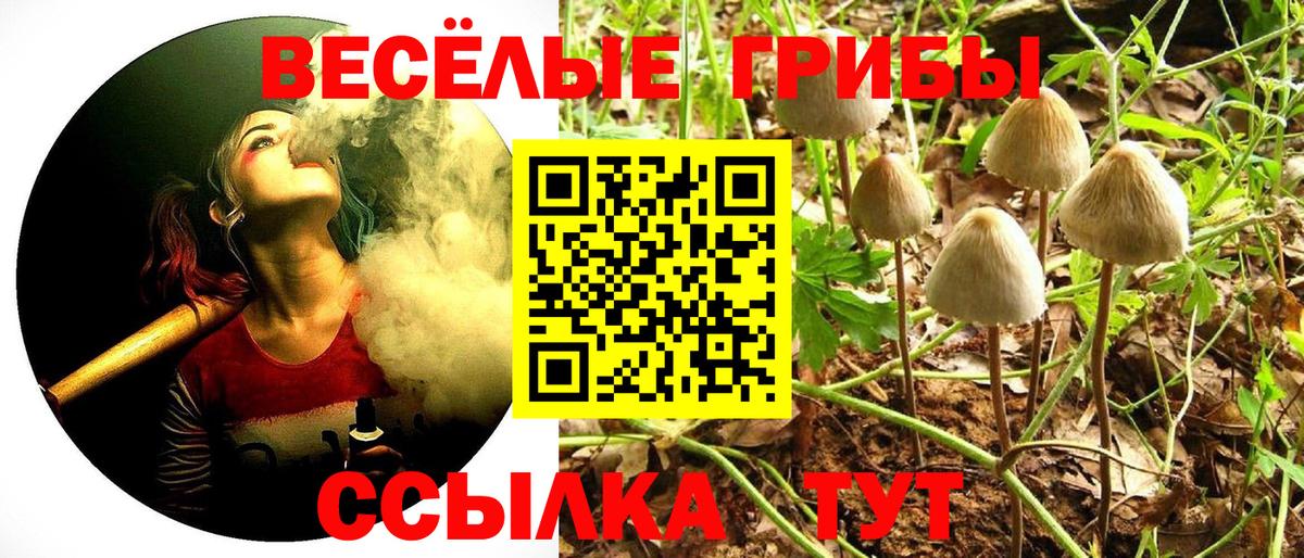 Комсомольск-на-Амуре  Галлюциногенные грибы Psilocybine cubensis  Псилоцибиновые грибы ЛСД  Вход с VPN 